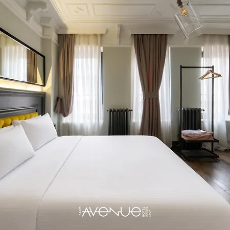 Taksim Avenue Hotel 3*